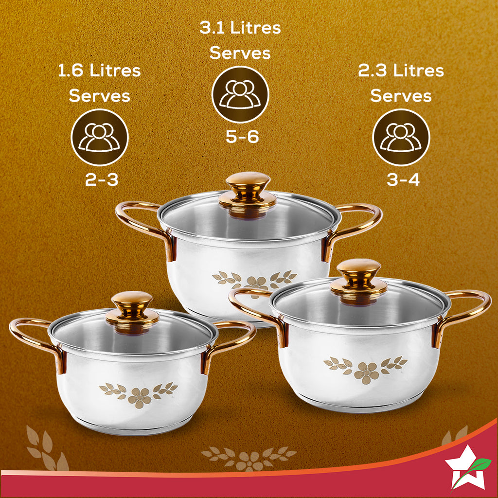 Gold Stanton Stainless Steel 3 piece Casserole Set with Glass Lid | Golden knobs and handles | Induction & Gas Stove friendly | Set of 3 (1.6L, 2.3L, 3.1L) | 1 Year Warranty