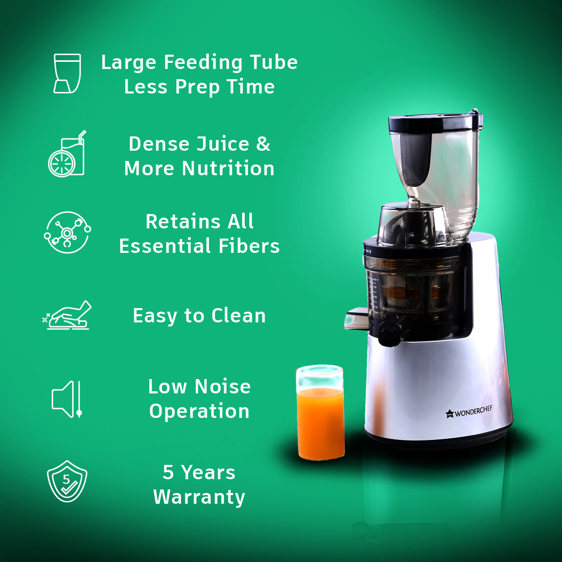 V6 Cold Press Slow Juicer Full Fruit High Juice Yield Powerful AC motor Slow Squeezing Technology 200W