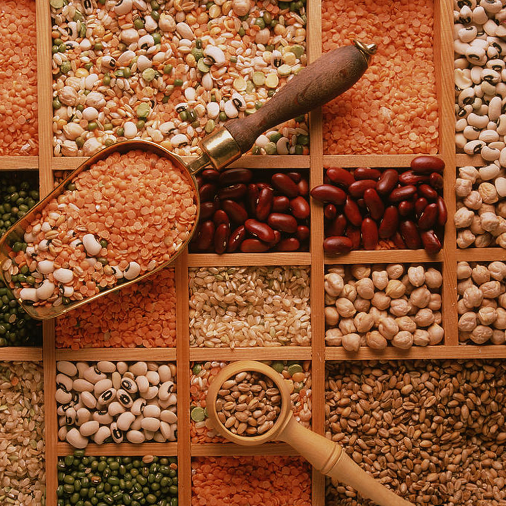 Indian Agricultural Harvest Sourcing