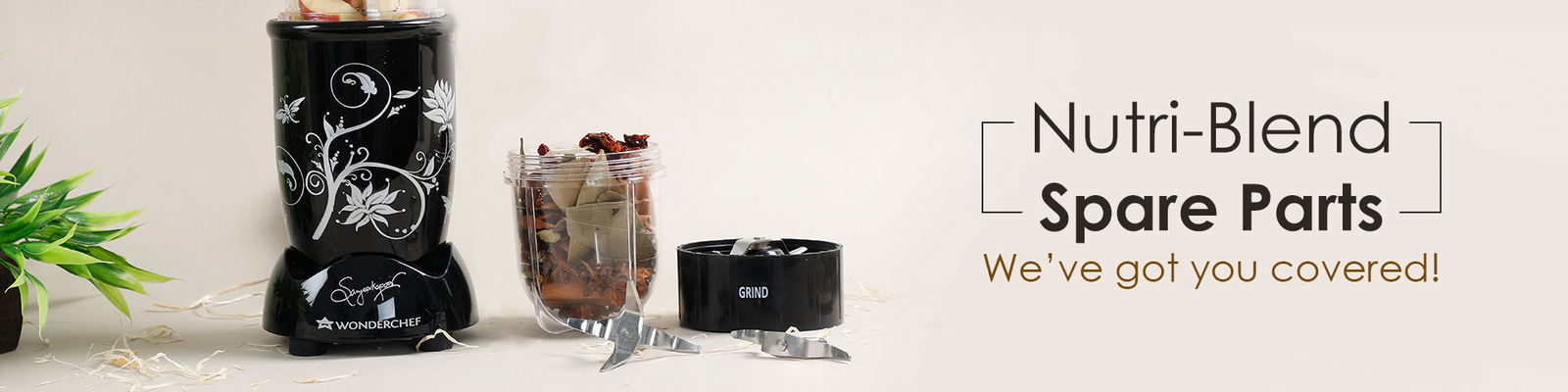 Nutri Blend Pro