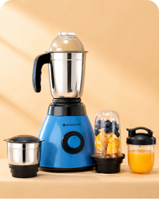 Everyday Mixer Grinders