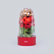 Load image into Gallery viewer, Nutri-Blend B - Long Jar with Red Base Set