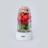 Nutri-blend Premier Long Jar with White Base Set