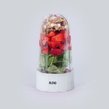 Load image into Gallery viewer, Nutri-blend B Long Jar with White Base Set