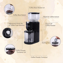 Load image into Gallery viewer, Regalia Electric Coffee Grinder | Burr Grinder | 31 Grinding Settings | Set Variable Coffee Texture, Fine, Medium, Coarse | Grind Beans for Espresso, Lungo, Americano, Cappuccino, Brew, French Press | Perfect Gifting Option | 2 Year Warranty